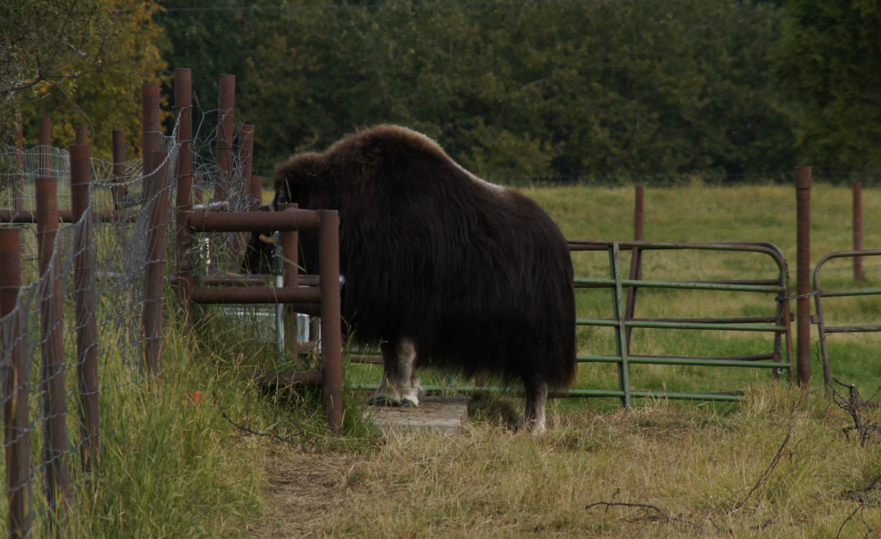 Click to return to the thumbnail index